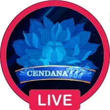 Info Lengkap Aplikasi cendana777 Versi Terbaru